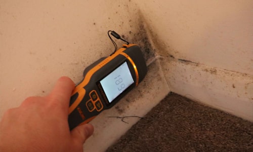 Detailed structural inspection as part of a Building Survey