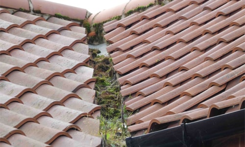 home insight example